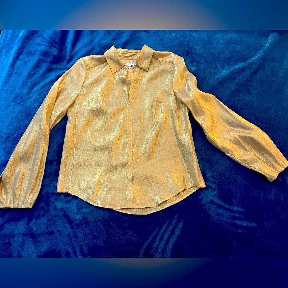 Beautiful sheer Diane Von Furstenverg gold blouse.